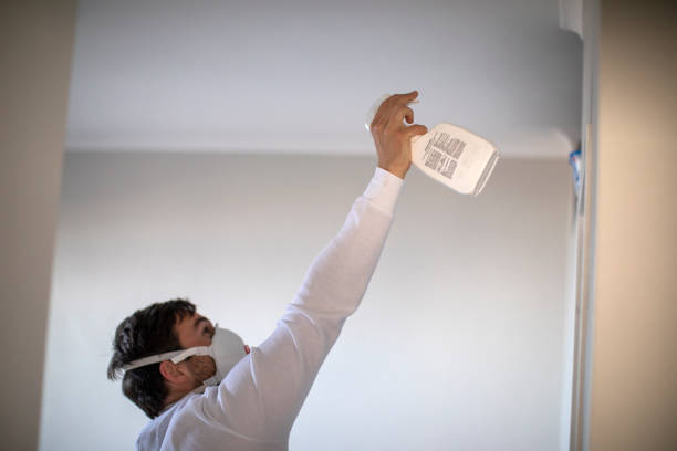 Best Local Mold Removal Service  in Picayune, MS